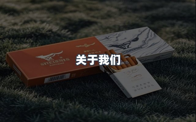团队合作